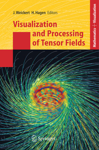 Visualization and Processing of Tensor Fields - Weickert, Joachim und Hans Hagen