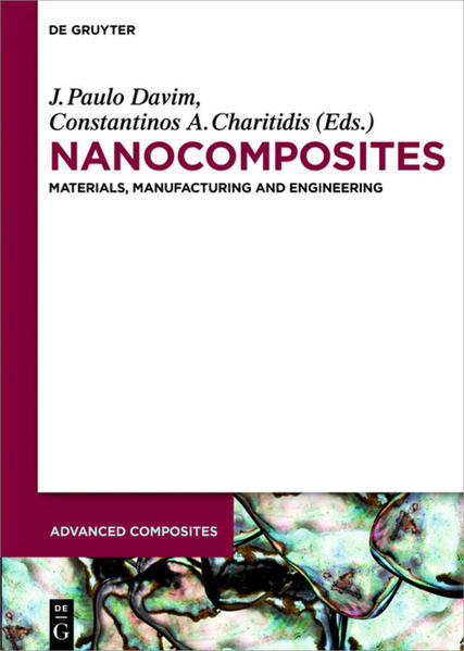 Nanocomposites Materials, Manufacturing and Engineering - Davim, J. Paulo, Constantinos A. Charitidis  und Valter Bavastrello