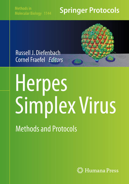 Herpes Simplex Virus Methods and Protocols - Diefenbach, Russell J. und Cornel Fraefel
