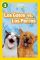 National Geographic Readers: Los Gatos vs. Los Perros (Cats vs. Dogs) - Elizabeth Carney