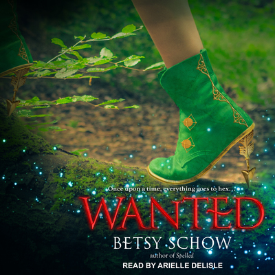 WANTED M (Storymakers, Band 2) - Schow, Betsy und Arielle DeLisle