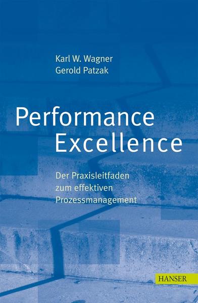 performance excellence praxisleitfaden patzak