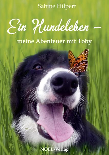 Ein Hundeleben Meine Abenteuer mit Toby - Hilpert, Sabine
