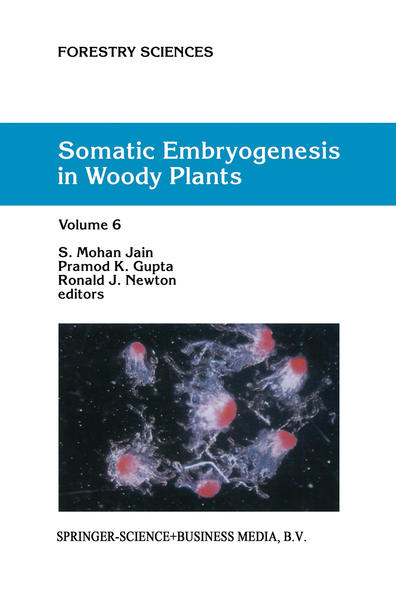 Somatic Embryogenesis in Woody Plants Volume 6 - Jain, S.M., P.K. Gupta  und R.J. Newton