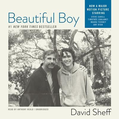 Beautiful Boy: A Father`s Journey Through His Son`s Meth Addiction - Sheff, David und Anthony Heald