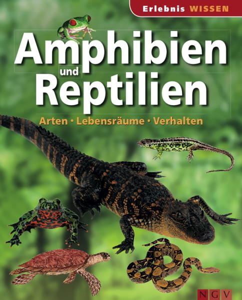Amphibien und Reptilien Arten, Lebensräume, Verhalten