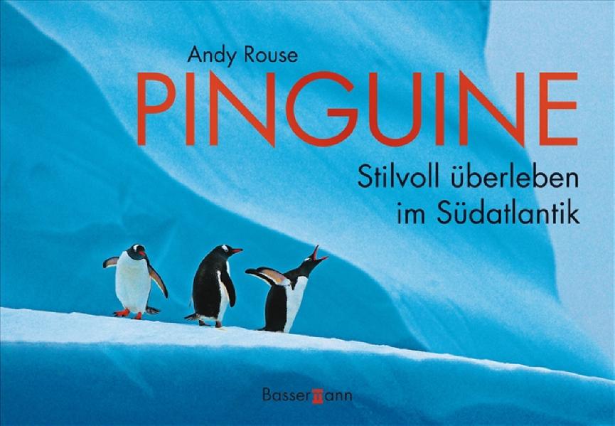 Pinguine Stilvoll überleben im Südatlantik - Rouse, Andy