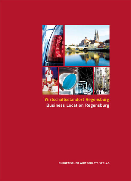 Wirtschaftsstandort Regensburg Chancen und Perspektiven einer Stadt - Kirk, Christian