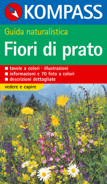 Fiori di Prato Italienische Ausgabe - Jaitner, Christine