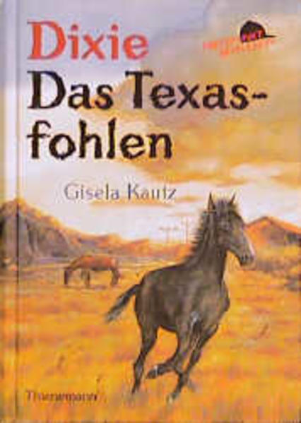 Dixie - Das Texasfohlen - Kautz, Gisela