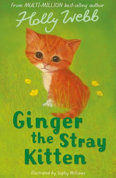 Ginger the Stray Kitten (Holly Webb Animal Stories, Band 8) - Webb, Holly und Sophy Williams