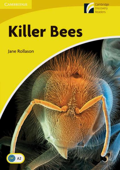 Killer Bees Englische Lektüre für das 3. Lernjahr. With downloadable audio - Rollason, Jane