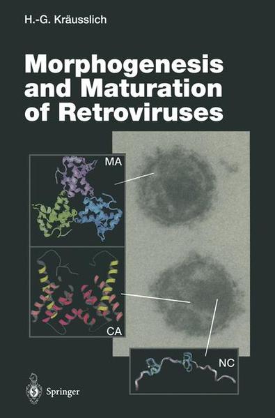 Morphogenesis and Maturation of Retroviruses - Kräusslich, Hans-Georg