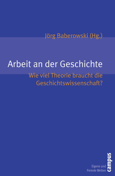 Arbeit an der Geschichte Wie viel Theorie braucht die Geschichtswissenschaft? - Baberowski, Jörg, Jörg Baberowski  und David Feest