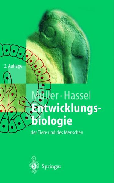 Entwicklungsbiologie der Tiere und des Menschen Einführendes Lehrbuch der Embryologie, Entwicklungsgenetik und Entwicklungsphysiologie - Müller, Werner A. und Monika Hassel