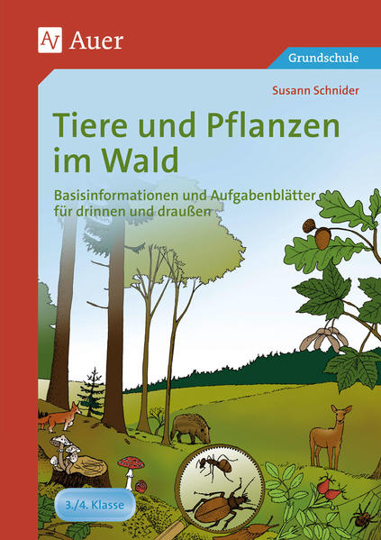 Tiere und Pflanzen im Wald Basisinformationen und Aufgabenblätter für drinnen und draußen (3. und 4. Klasse) - Schnider, Susann