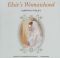 Elsie`s Womanhood (Elsie Dinsmore Collection (Audio))  Unabridged - Martha Finley, Marguerite Gavin