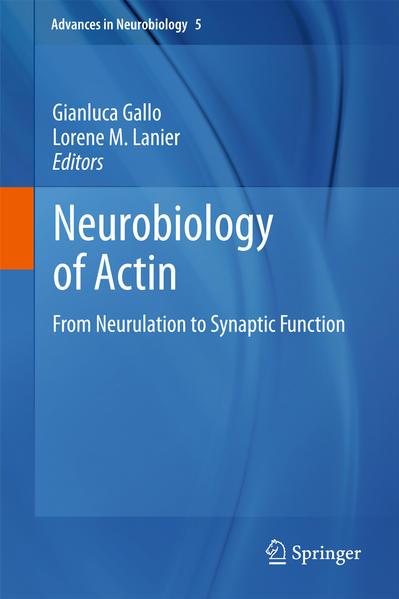 Neurobiology of Actin From Neurulation to Synaptic Function - Gallo, Gianluca und Lorene M Lanier