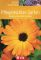 Pflegeleichter Garten Kreativ und einfach gestalten 1., Auflage - Birgit Kuhn