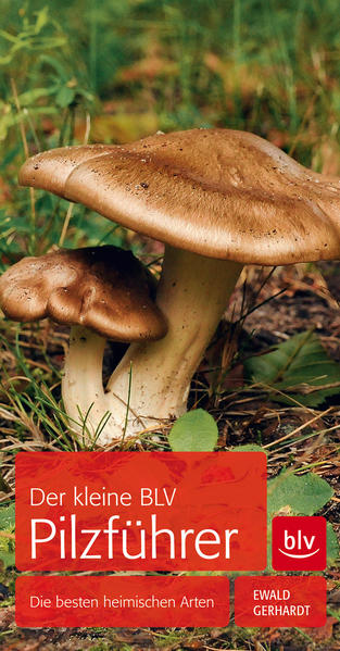 Der kleine BLV Pilzführer: Die besten heimischen Arten (BLV Pilze) - FJ 2858 - 218g - Gerhardt, Ewald