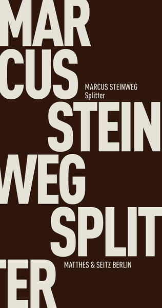 Splitter (Fröhliche Wissenschaft) - CL 7819 - 170g - Steinweg, Marcus