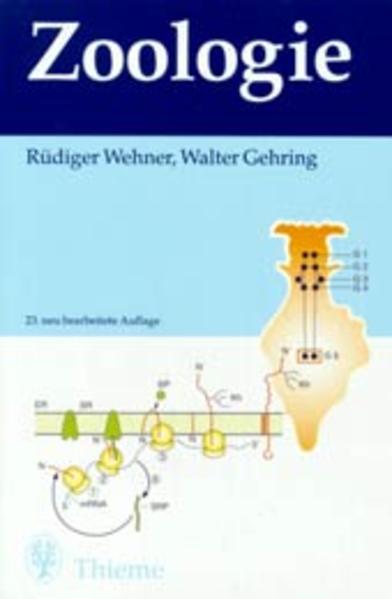 Zoologie - FC 2184 - 688g - Wehner, Rüdiger, Walter Gehring und Alfred Kühn