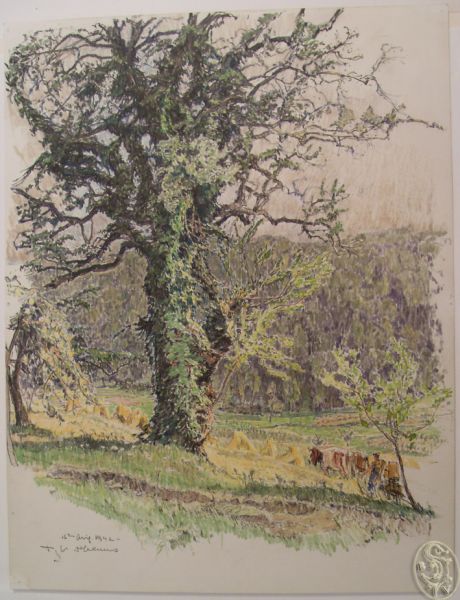 KASIMIR-HOERNES, Tanna. Graphikerin (1887-1972). [Baum in der Landschaft].