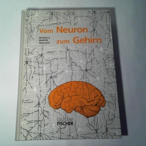 Vom Neuron zum Gehirn. Zum Verständnis der zellulären und molekularen Funktion des Nervensystems - Nicholls, John G./ Martin, Robert/ Wallace, Bruce G.