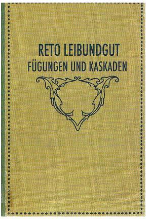 Fügungen und Kaskaden. Arbeiten 1997 - 2008. - Reto Leibundgut.