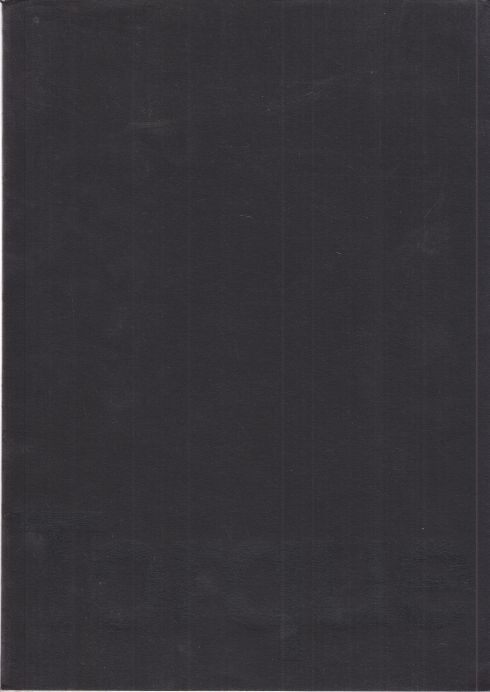 Torque Richard Serra. Dokumentation zu der Großskulptur auf dem Campus der Universität des Saarlandes. 1. Aufl. - Loebens, Uwe