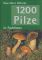 1200 Pilze in Farbfotos 2002 - Rose Marie Dähncke