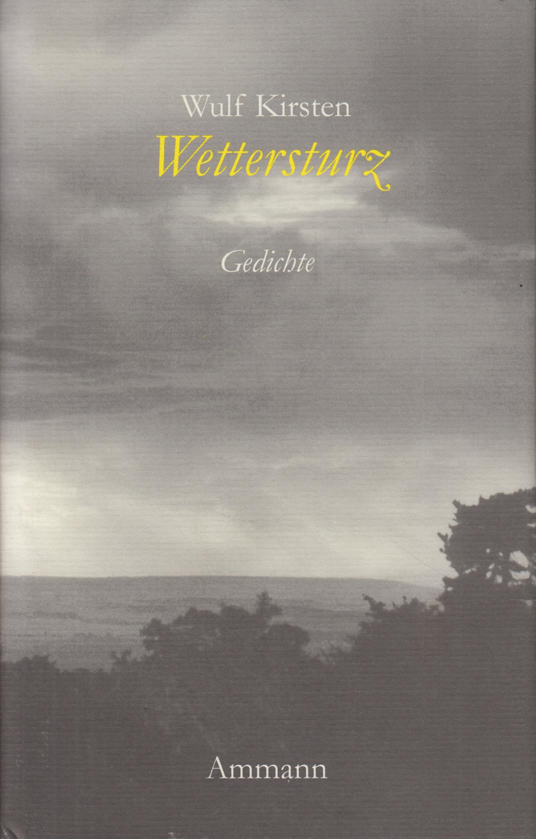 Wettersturz Gedichte 1993 - 1998 - Kirsten, Wulf