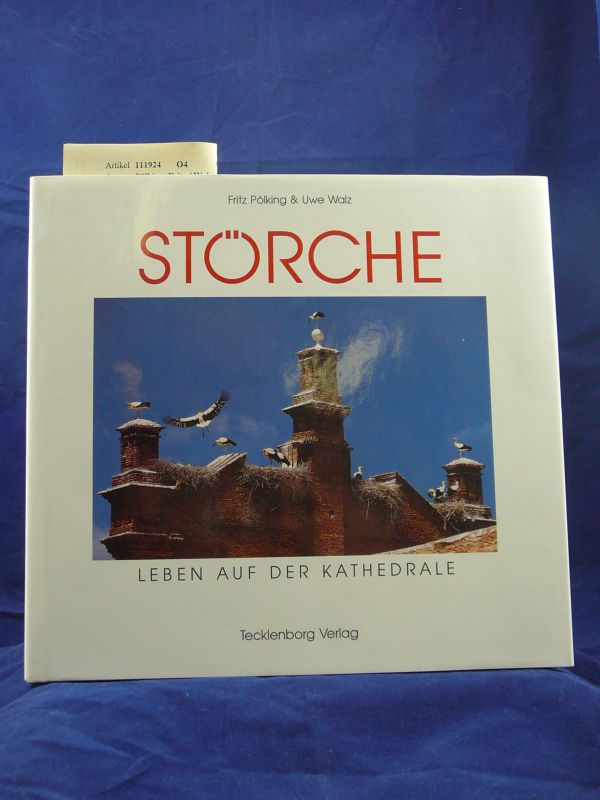 Plking, Fritz / Walz, Uwe. Strche. Leben auf der Kathedrale. 1. Auflage.