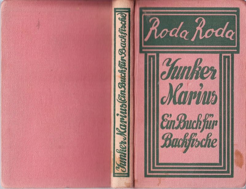 Junker Marius. Ein Buch für Backfische.