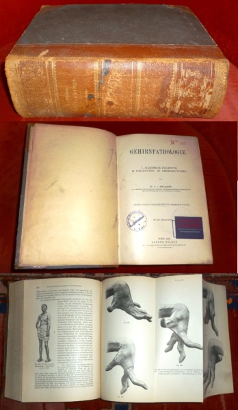 Constantin von Monakow (1853 - 1930) Gehirnpathologie. I. Allgemeine Einleitung. II. Lokalisation III. Gehirnblutungen.