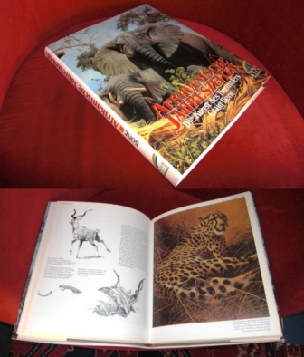 Text Alistair Chambers Afrikanische Jahreszeiten. Die Kunst Des Tiermalers Craig Bone.