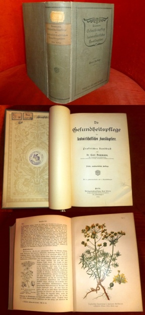 Dr. Carl Dammann. Die Gesundheitspflege Der Landwirtschaftlichen Haussugetiere. Praktisches Handbuch. Mit 20 Farbendrucktafeln Und 74 Textabbildungen.
