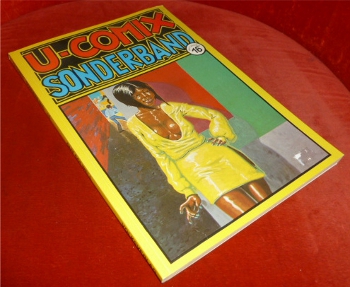 Bilder Und Texte Von Guy Colwell, bersetzung Wedema. U-Comix. Sonderband 16. Choices. The Inner City Romance Comic.