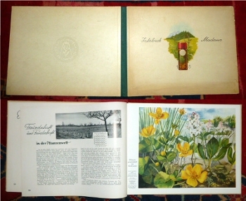  Jahrbuch Madaus 1938