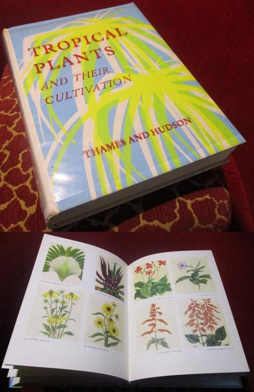 L. Bruggeman, Introduction by W.M Campbell Tropical plants and their cultivation. With 292 illustrations in colour by Ojong Soerjadi.