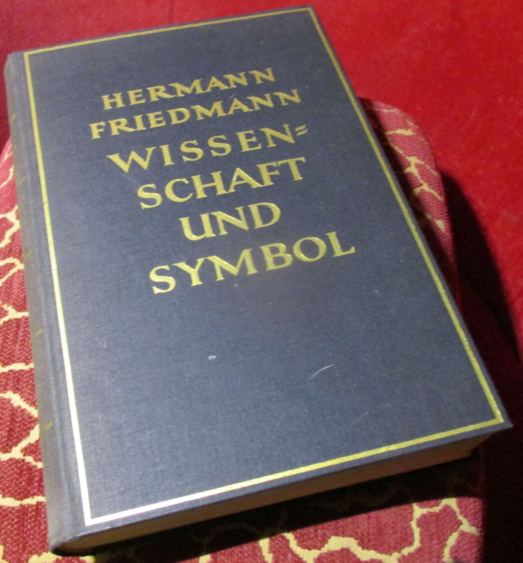 Hermann Friedmann Wissenschaft und Symbol: Aufriss einer symbolnahen Wissenschaft.