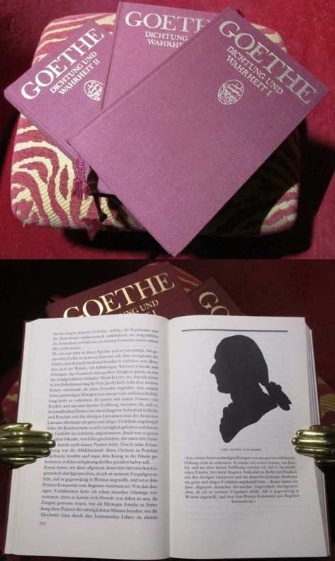 Johann Wolfgang Goethe Dichtung und Wahrheit. Mit zeitgenssischen Illustrationen ausgewhlt von Jrn Gres. 3 Bnde.