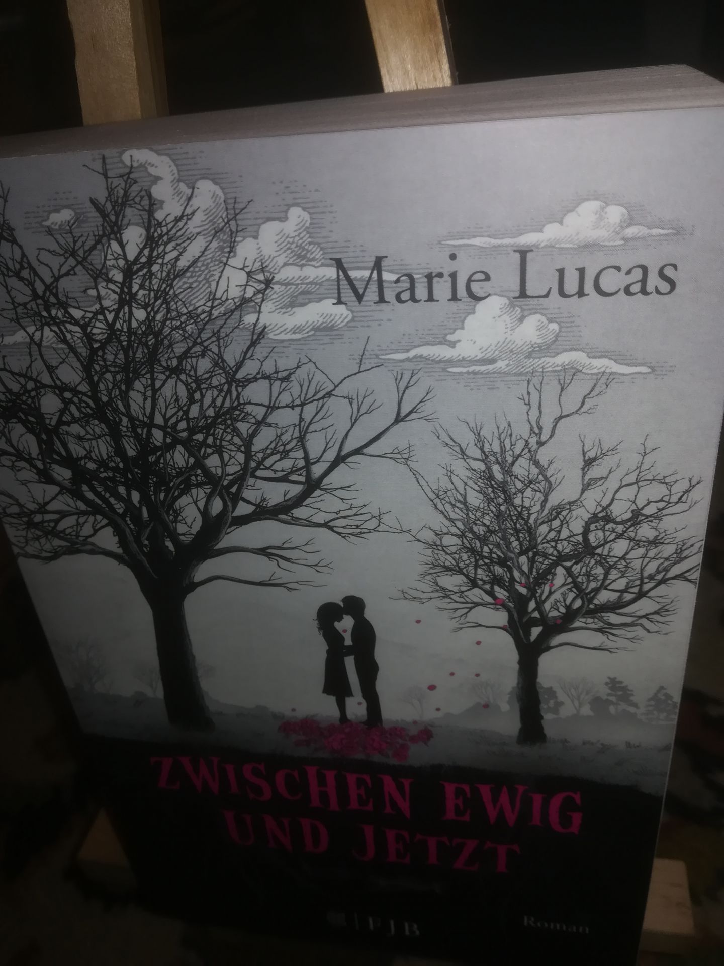 Zwischen ewig und jetzt - Lucas Marie
